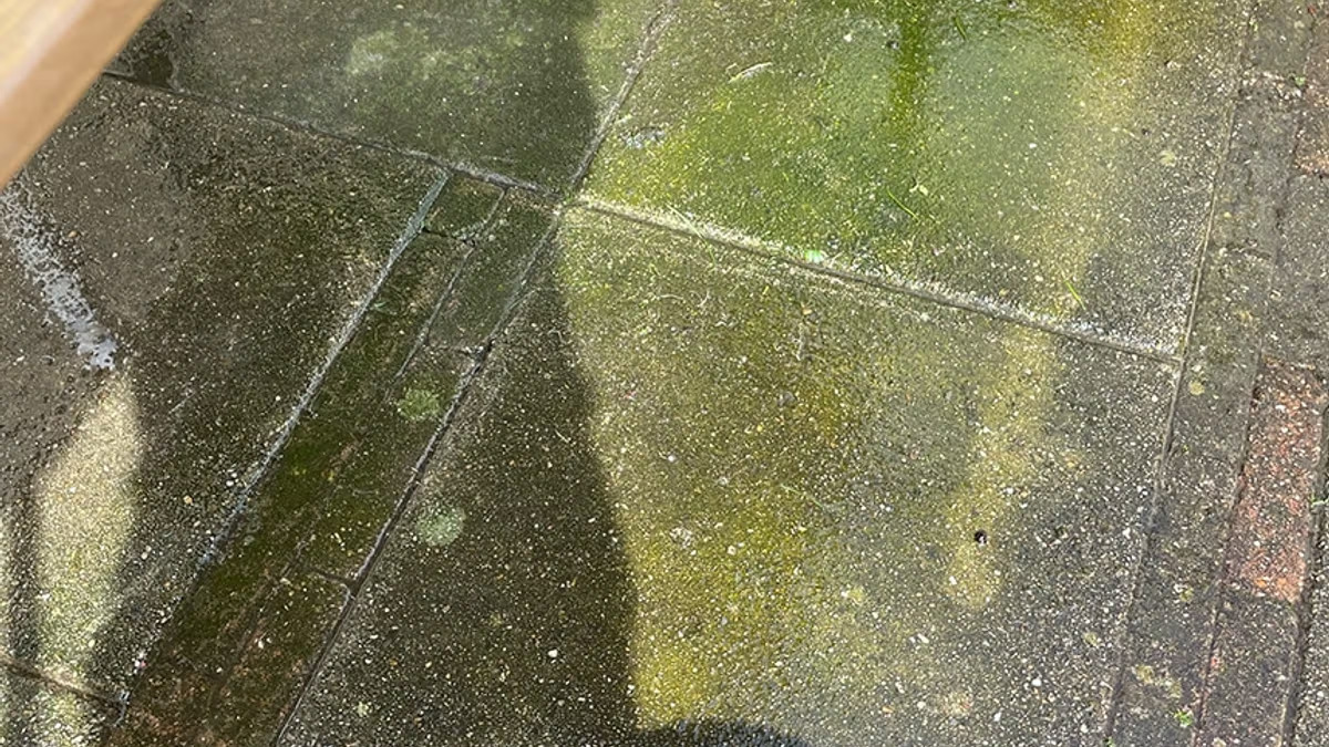 Algae buildup before pressure washing